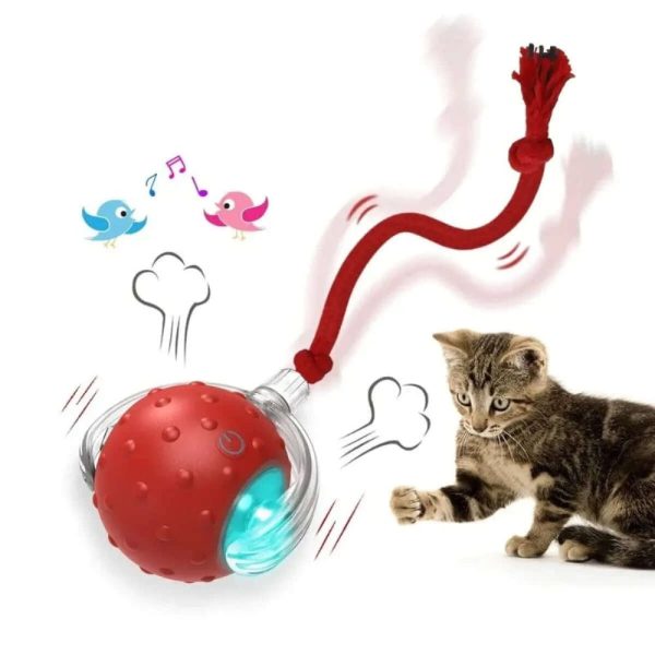 balle magique pour chat