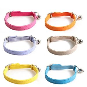 collier élastique chat
