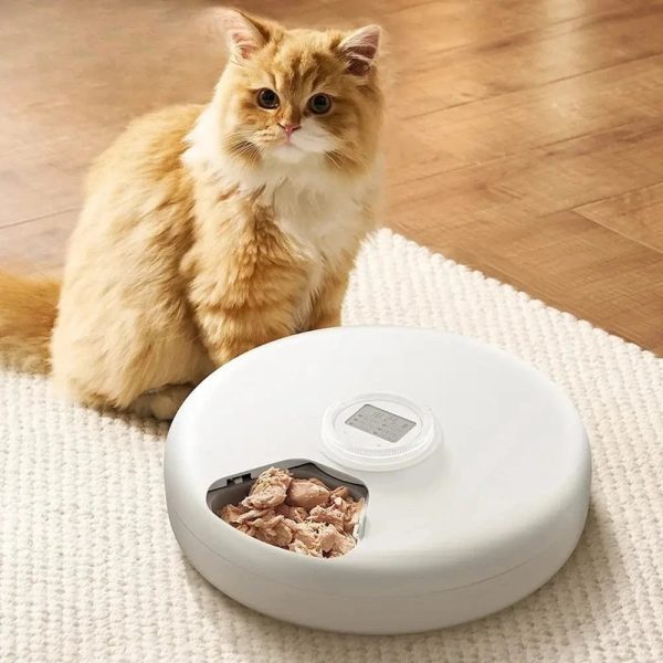 distributeur automatique croquette 6 repas Petiplan