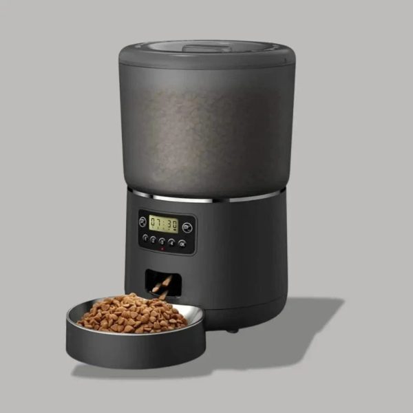 gamelle automatique chat repas réguliers