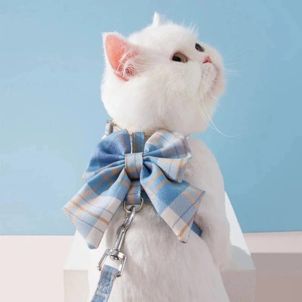 Harnais chat design en action