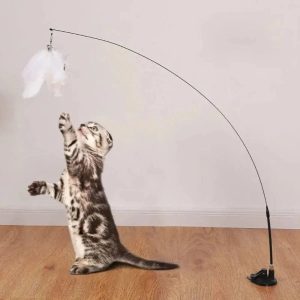 jouet pour chat plume à ventouse amusement garanti
