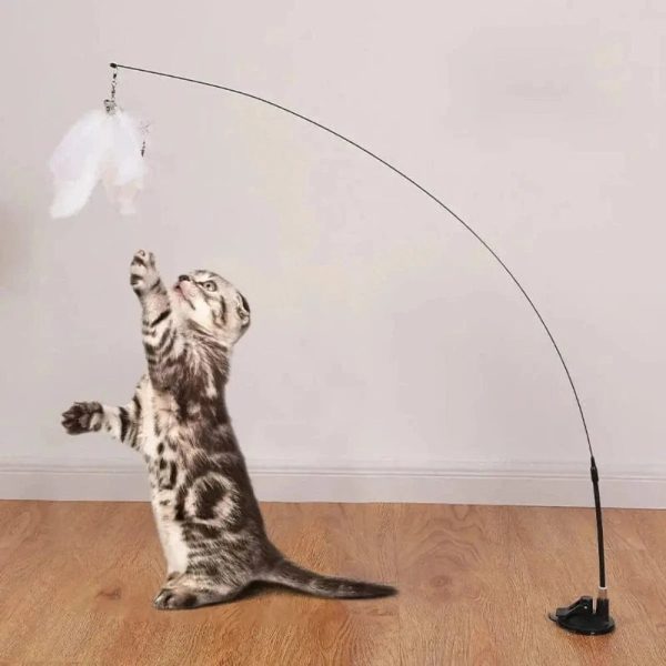 jouet pour chat plume à ventouse amusement garanti