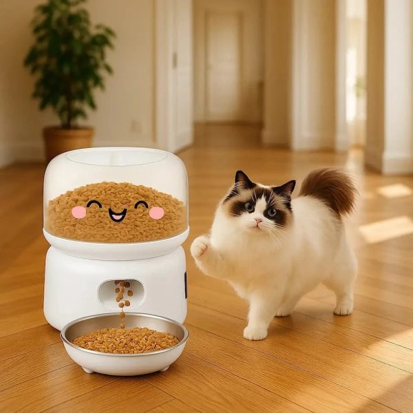 mangeoire automatique pour chat