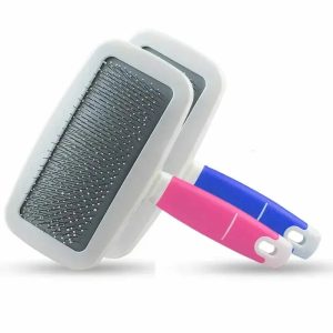 brosse animaux maison