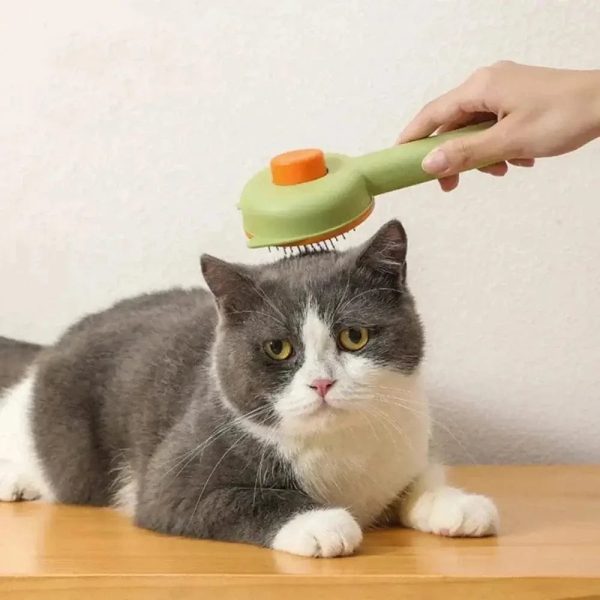 brosse autonettoyante chat