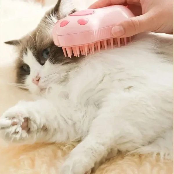 brosse massage chat douce
