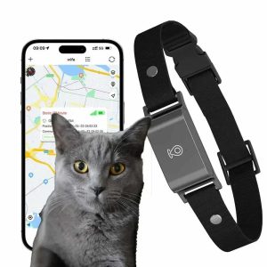 collier GPS chat sans abonnement