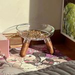 gamelle en verre pour chat