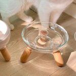 accessoire repas chat en verre