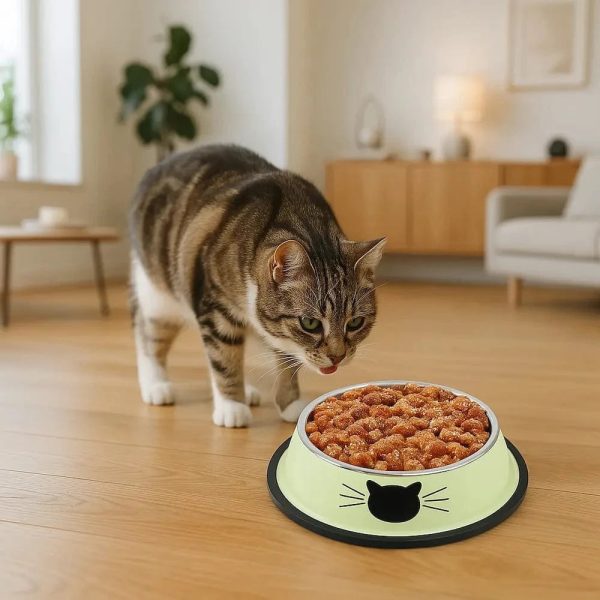 gamelle inox pour chat