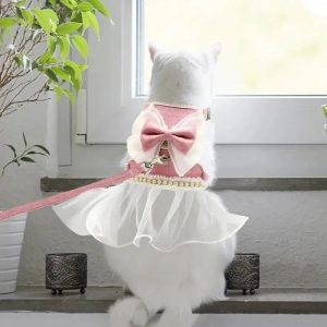 harnais chat élégance royale